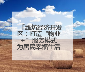 潍坊经济开发区：打造“物业＋”服务模式 为居民幸福生活“加码”